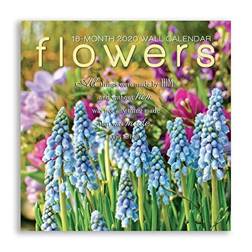 BTHERE 16 Month Premium Wall Calendar 2020 Each Month Displays Full
