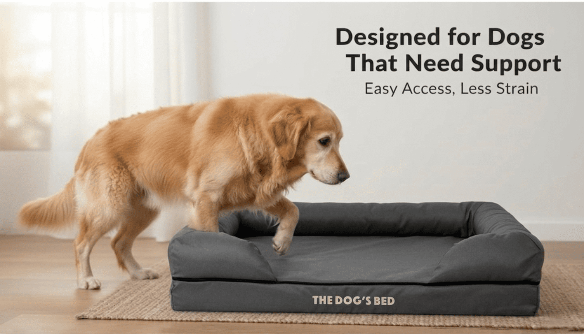 The Dog’s Bed Orthopedic Dog Bed Large Grey with Black Trim 36x27, Waterproof, Veterinary Grade Memory Foam, Pain Relief: Arthritis, Hip & Elbow Dysplasia, Post Surgery, Supportive, Washable Cover