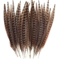 thumbnail image 1 of 30 plumas de faisán naturales JanHm 15-28 cm color natural, 1 of 5