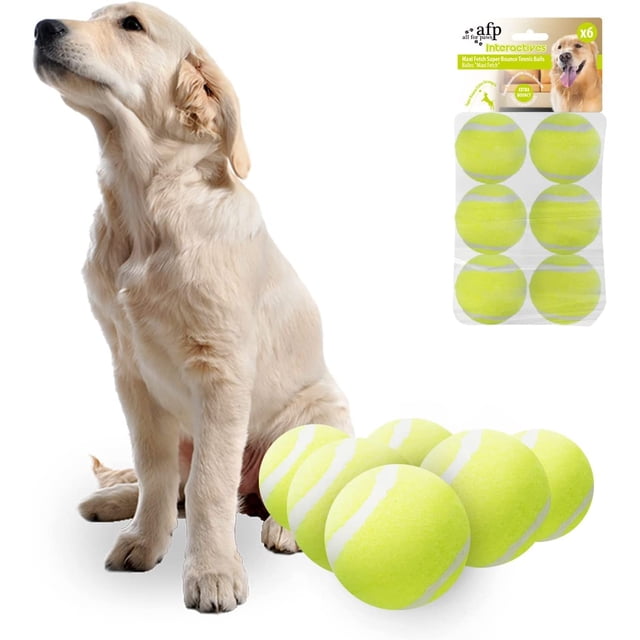 Balles de Tennis ALL FOR PAWS 2,5 Pouces pour Chiens Lot de 6