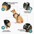 thumbnail image 2 of Embark Adventure Dog Harness, No-Pull Reflective Trim Dog Harness for Small, Medium & Large Dogs - Military Grade Nylon, 2 Leash Clips & Gel Lined Handle. Soft & Padded Puppy Dog Vest for Any Breed, 2 of 5