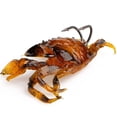 thumbnail image 5 of 1pcs Silicone Road Bait 3d Simulation Crab Bait With Hook Bait Tackleorange, 5 of 5