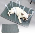 thumbnail image 1 of Quinlirra - Tapete de hielo para mascotas, de seda fría y fresca para verano, para dormir, cojín para sofá, tapete de hielo transparente y transpirable, universal para todas las estaciones, ideal, 1 of 8
