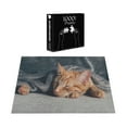 thumbnail image 3 of Ambesonne Orange Cat Jigsaw Puzzle Durable Cardboard, Kitten Sleeping Artwork, 1000 pcs, Sand Brown Dark Teal and Grey, 3 of 5