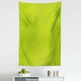 thumbnail image 1 of Lime Green Tapestry, Empty Backdrop Blurry Off Focus Pastel Toned Shade Color Spring Theme Abstract, Fabric Wall Hanging Decor for Bedroom Living Room Dorm, 5 Sizes, Apple Green, by Ambesonne, 1 of 1