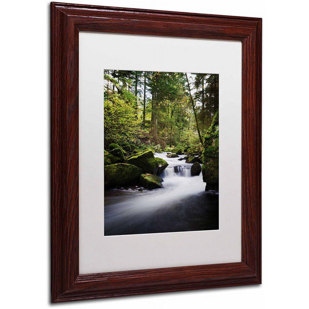 Trademark Fine Art "Still Fall" Canvas Art by Philippe Sainte-Laudy, White Matte, Wood Frame