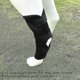 thumbnail image 1 of Breathable Dog Elbow Brace Protector Pads For Canine Elbow And Shoulder Support Elbow Hygroma, Dysplasia, Osteoarthritis, Elbow Calluses, Press Xl, 1 of 2