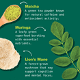 thumbnail image 4 of Kuli Kuli Organic Matcha Moringa Superfood Latte with Lion's Mane, Low-Caffeine Coffee Alternative, 3.41 oz, 4 of 8