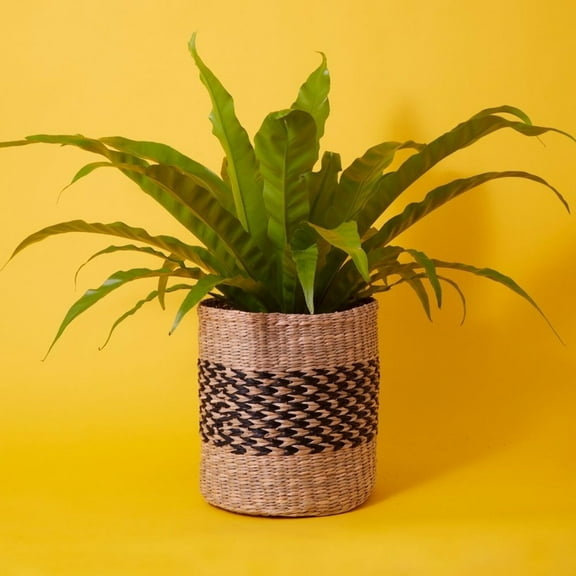 10" Small Seagrass Herringbone Planter Shelf Basket
