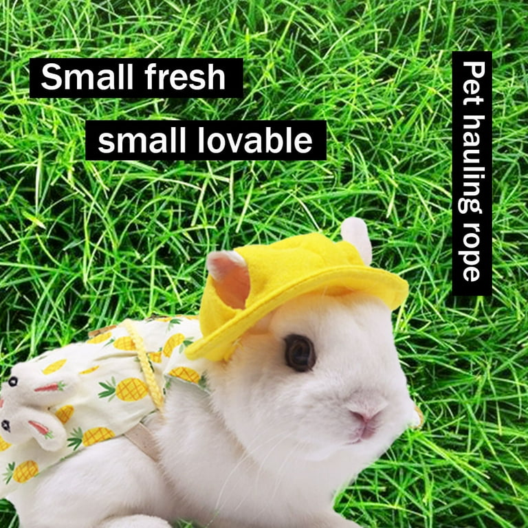 Bunny leash walmart sales