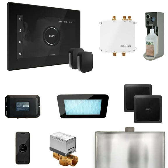 Mr Steam Bliss Max Steam Shower Ctrl Pkg w/iSteamX Control and Steamhead in Black Matte Black