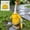 Yellow-Green# B, variant on Raincoat Porch Goose Outfits,Summer Lawn Goose Statue Raincoat Costume for 23",Yard Goose Clothes Raincoats Umbrella Hat Outfit (Yellow)
