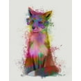 thumbnail image 2 of Fab Funky 15x18 White Modern Wood Framed Museum Art Print Titled - Rainbow Splash Fox 1, 2 of 4