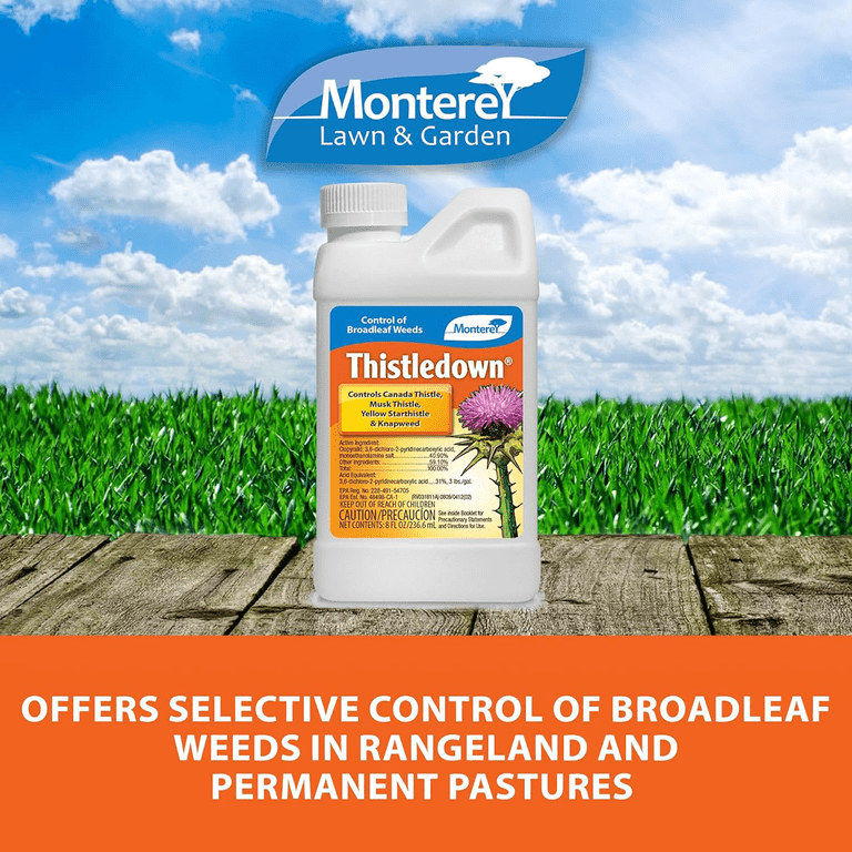 olympus herbicide Ornamec - 170 Grass Herbicide main image 1