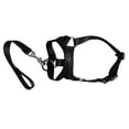 thumbnail image 3 of Topwoner Nylon Dog Training Head Collar No Pull, Head Harness Stops Dog Pulling with Head Leash, 3 of 7