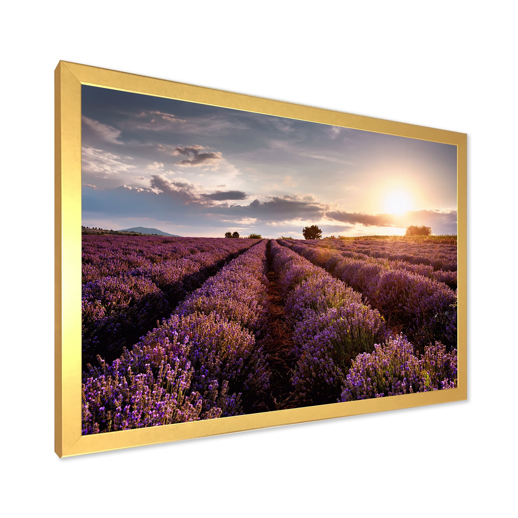 Designart 'Dramatic Clouds and Sunrise Over Lavender Field V' Farmhouse Framed Art Print