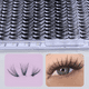 thumbnail image 4 of Blister Extensiones De Pestañas 240 Ramos, 4 of 5