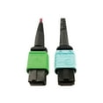 thumbnail image 2 of Eaton Tripp Lite Series 400G Multimode 50/125 OM4 Plenum Fiber Optic Cable, 16F MTP/MPO-APC to 24F MTP/MPO-UPC (F/F), Magenta, 5 m - Network cable - MTP/MPO/APC multi-mode (F) to MTP/MPO/UPC multi-mode (F) - 5 m - fiber optic - 50 / 125 micron - OM4 - plenum - black, magenta, green, aqua, 2 of 5