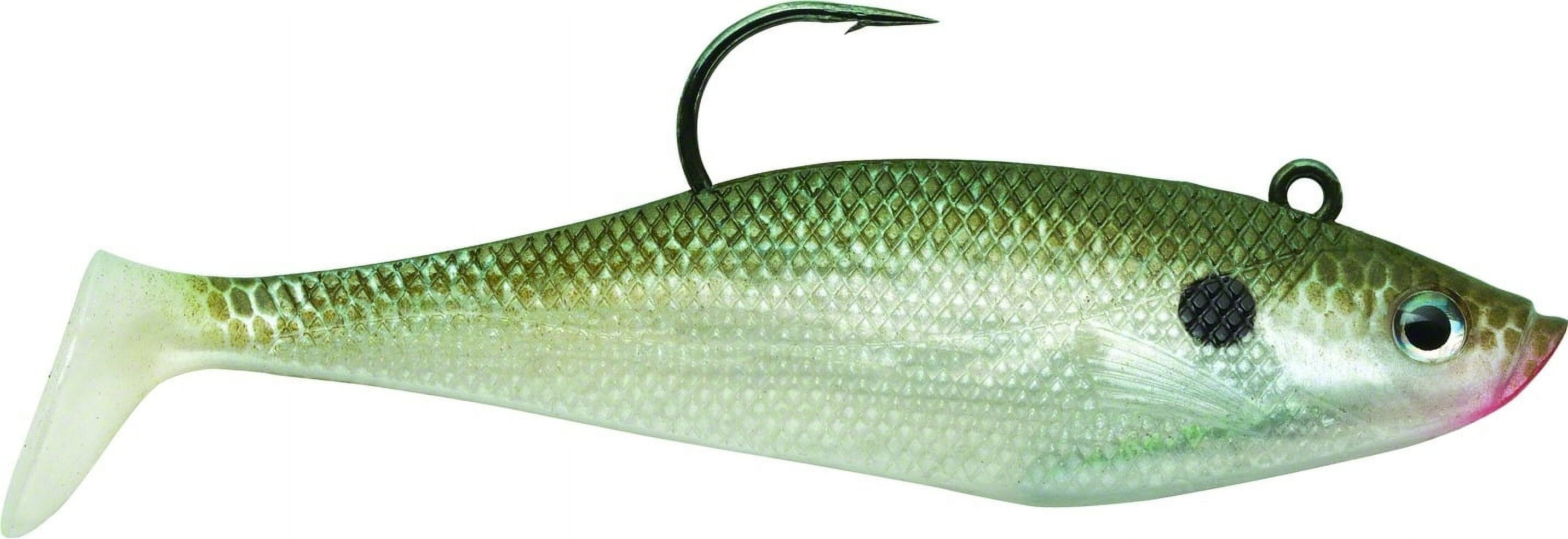 Z Man Bass Bait Heads, Ned Rig Kit Green Pumpkin for Finesse