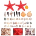 thumbnail image 3 of 1set Beach Shells, 3 of 3
