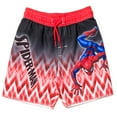 thumbnail image 3 of Marvel Spider-Man Toddler Boys Rash Guard and Swim Trunks Outfit Set Toddler to Big Kid, 3 of 5