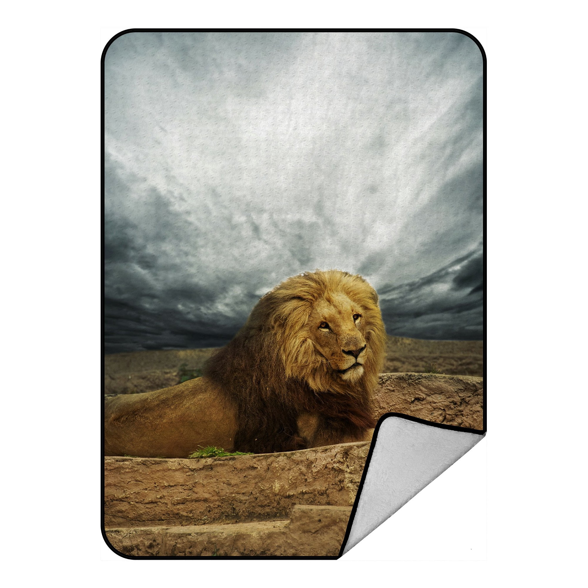 Lion blanket walmart deals