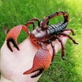 thumbnail image 3 of Insect Simulation Model Toys Simulation Wildlife Model Ornaments Creepy Lifelike Fake Spiders Cricket Ladybug Grasshopper Ant Dragonfly Realistic Inse, 3 of 4