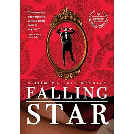 Stella Star - Falling Star (stella Cadente) (DVD)