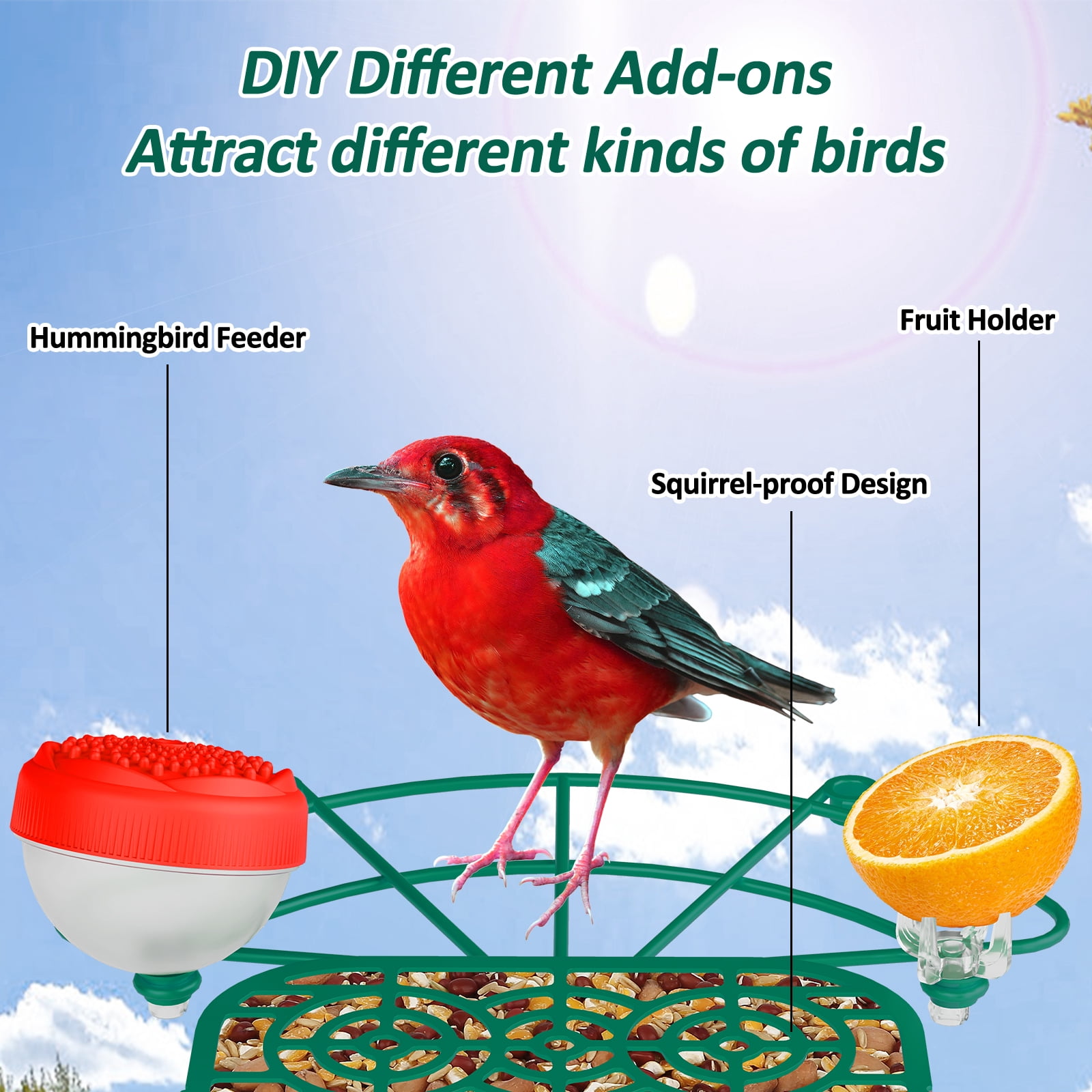 Bird Feeder with Camera, 2K Birds Camera with 3-in-1 Feeding, Drinking, and Bathing | AI Bird Identify, Real-Time Monitoring | IP65 for Outdoors