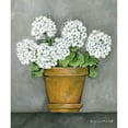 thumbnail image 3 of Marrott, Stephanie 12x14 Black Modern Framed Museum Art Print Titled - Geraniums In Bloom, 3 of 5