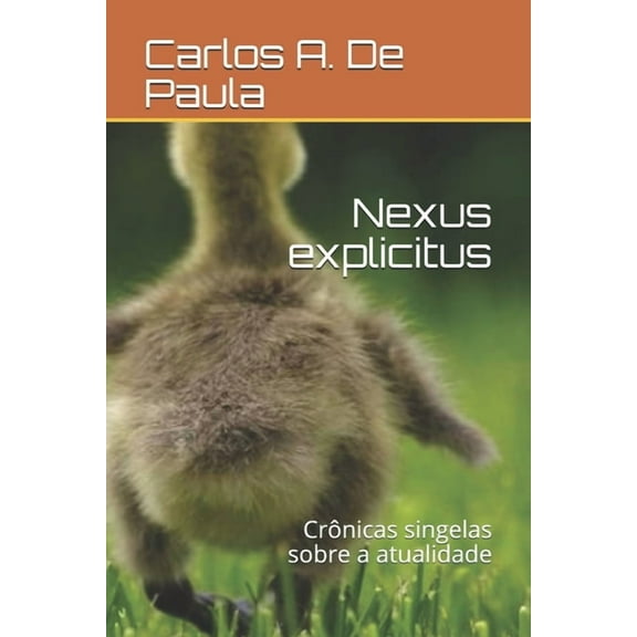 Nexus explicitus : Crônicas singelas sobre a atualidade (Paperback)