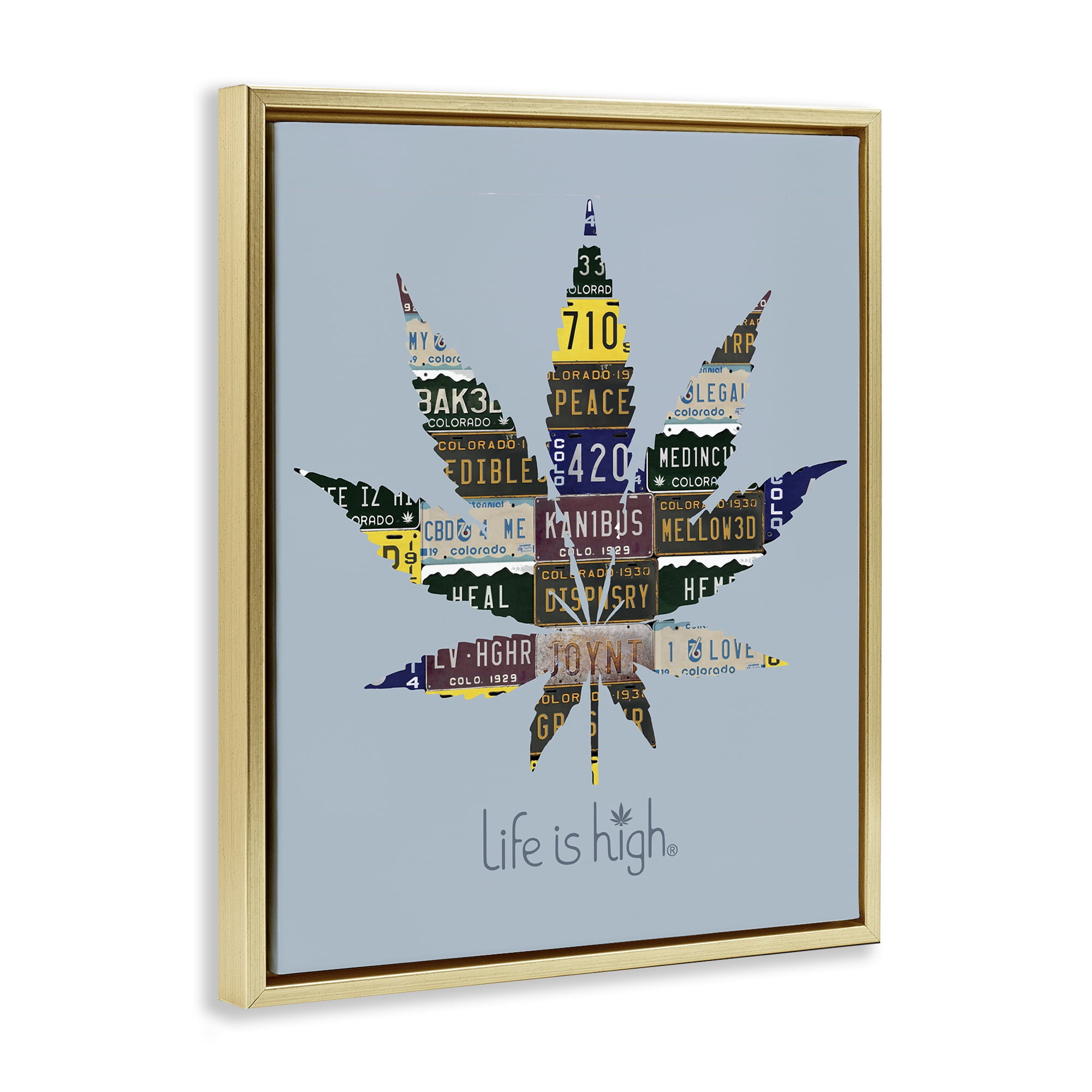 Stupell Industries Life Is High with Plant Novelty & Humor Painting Gold Floater Framed Canvas Art Print Wall Art, 25 x 31