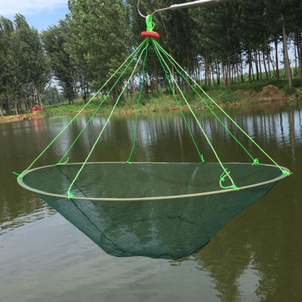 Foldable Prawn Bait Minnow Shrimp Drop Fishing Net Pier Harbour Green