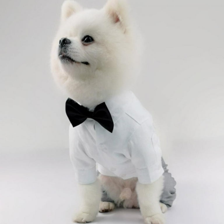 Tuxedo t shirt for dogs cheap