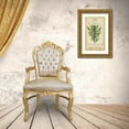 thumbnail image 3 of Vision Studio 10x14 Gold Ornate Wood Framed with Double Matting Museum Art Print Titled - Linnaean Botany I, 3 of 4
