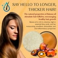 thumbnail image 5 of Solid Conditioner Bar Batana Oil for Hair Growth and Repair | Handmade in USA | Natural & Safe by Relaxcation, 5 of 5