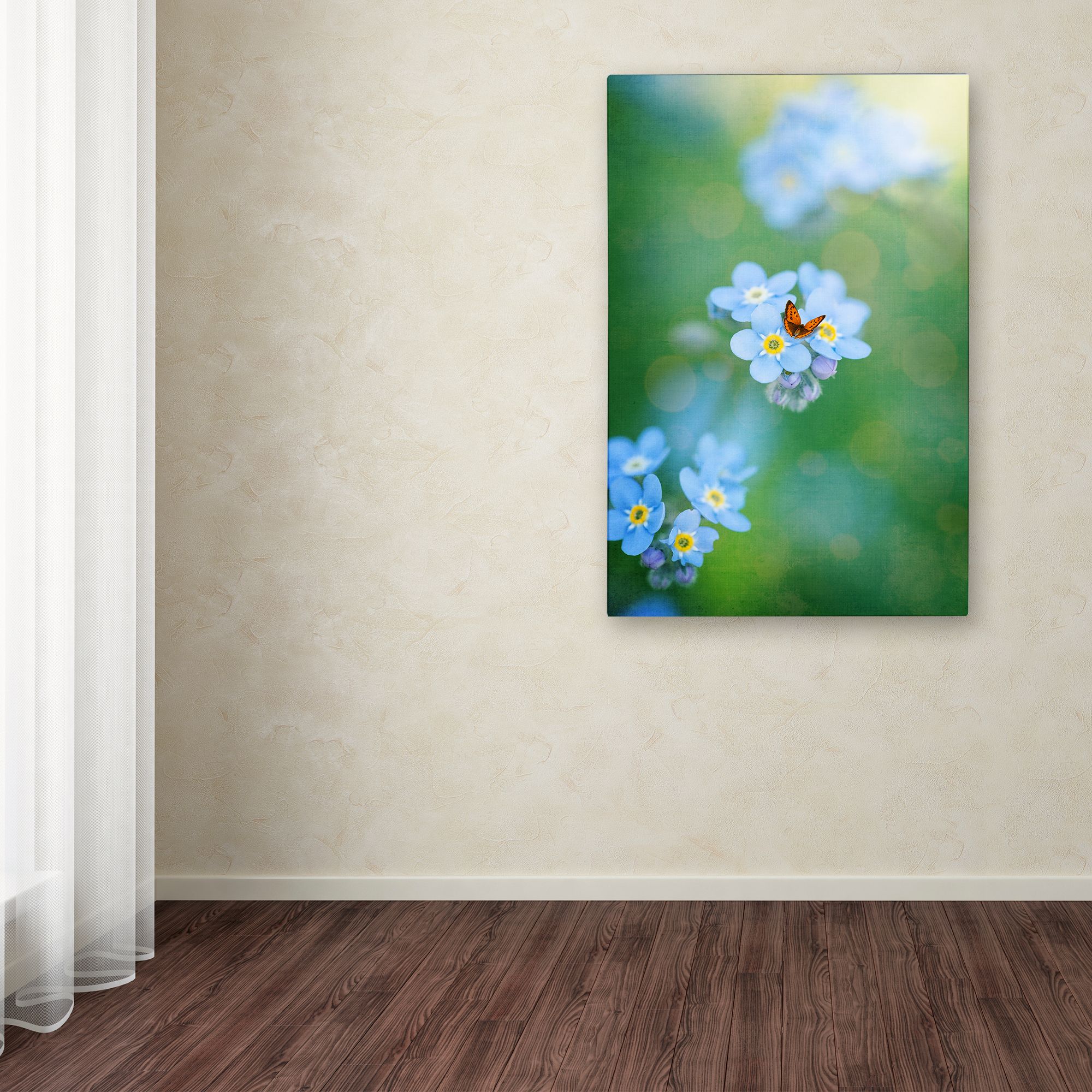 Trademark Fine Art "Forget-Me-Not" Canvas Art by Philippe Sainte-Laudy