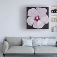 thumbnail image 3 of Tim O'Toole 'Hibiscus Portrait II' Canvas Art, 3 of 3