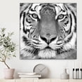 thumbnail image 3 of Giant Art Canvas  20x20 Tiger Framed in White, 3 of 3
