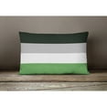 thumbnail image 4 of Carolines Treasures CK8012PW1216 Androphilia Pride Canvas Fabric Decorative Pillow 12H x16W multicolor, 4 of 4