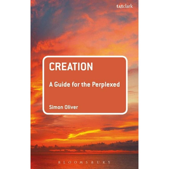Guides for the Perplexed Creation: A Guide for the Perplexed, (Paperback)