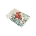 thumbnail image 2 of CADecor Watercolor Painting Door Mat Home Decor, Animal Cardinal Bird on Tree Branch at Snowy Winter Indoor Outdoor Entrance Doormat 23.6 x 15.7 Inches, 2 of 2