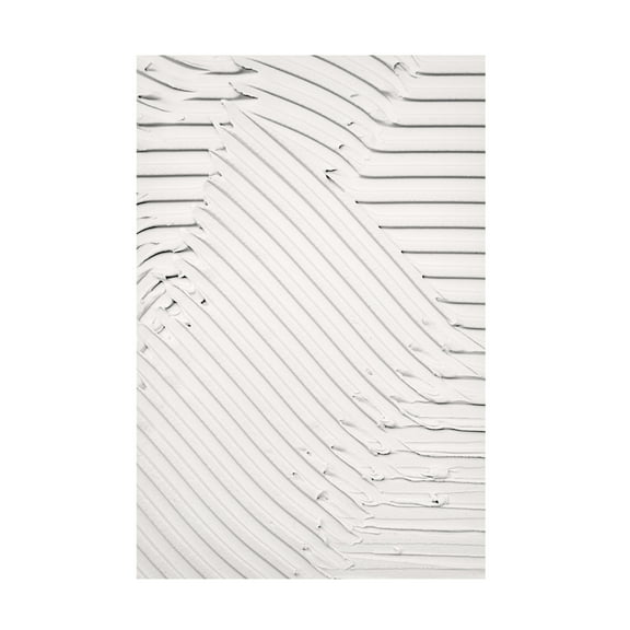 Trademark Fine Art Pictufy Studio III Mud Texture 010 Canvas Wall Art