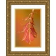 thumbnail image 1 of Murdock, Ramona 11x14 Gold Ornate Wood Framed with Double Matting Museum Art Print Titled - Sumac Twig, 1 of 4