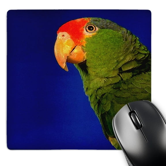 3dRose, Green Cheeked Amazon Parrot, MousePad