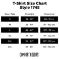 thumbnail image 5 of Comfort Colors Men's Heavyweight Short Sleeve Color Blast Tee, Style 1745, 2-Pack, Amethyst, Small, 5 of 7