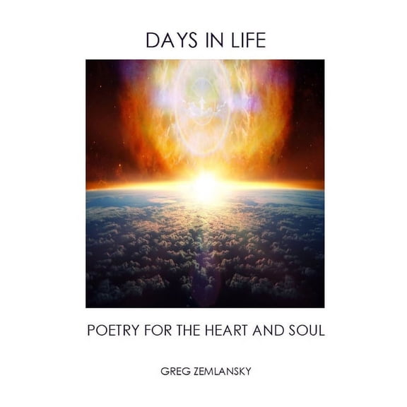 Days in Life (Paperback)