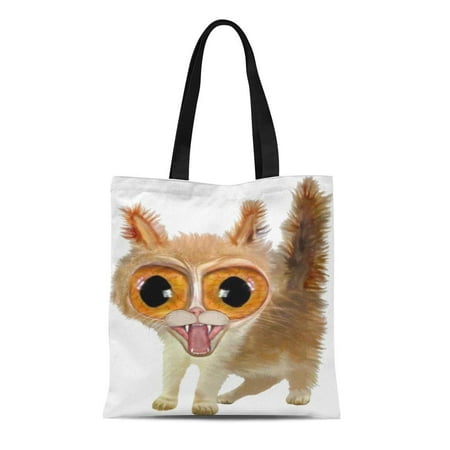 Pet Lovers Shop LADDKE Canvas Tote Bag Whimsical Big Eye D Cat Funny Cute Lover Pets Reusable Handbag Shoulder Grocery Shopping Bags ()