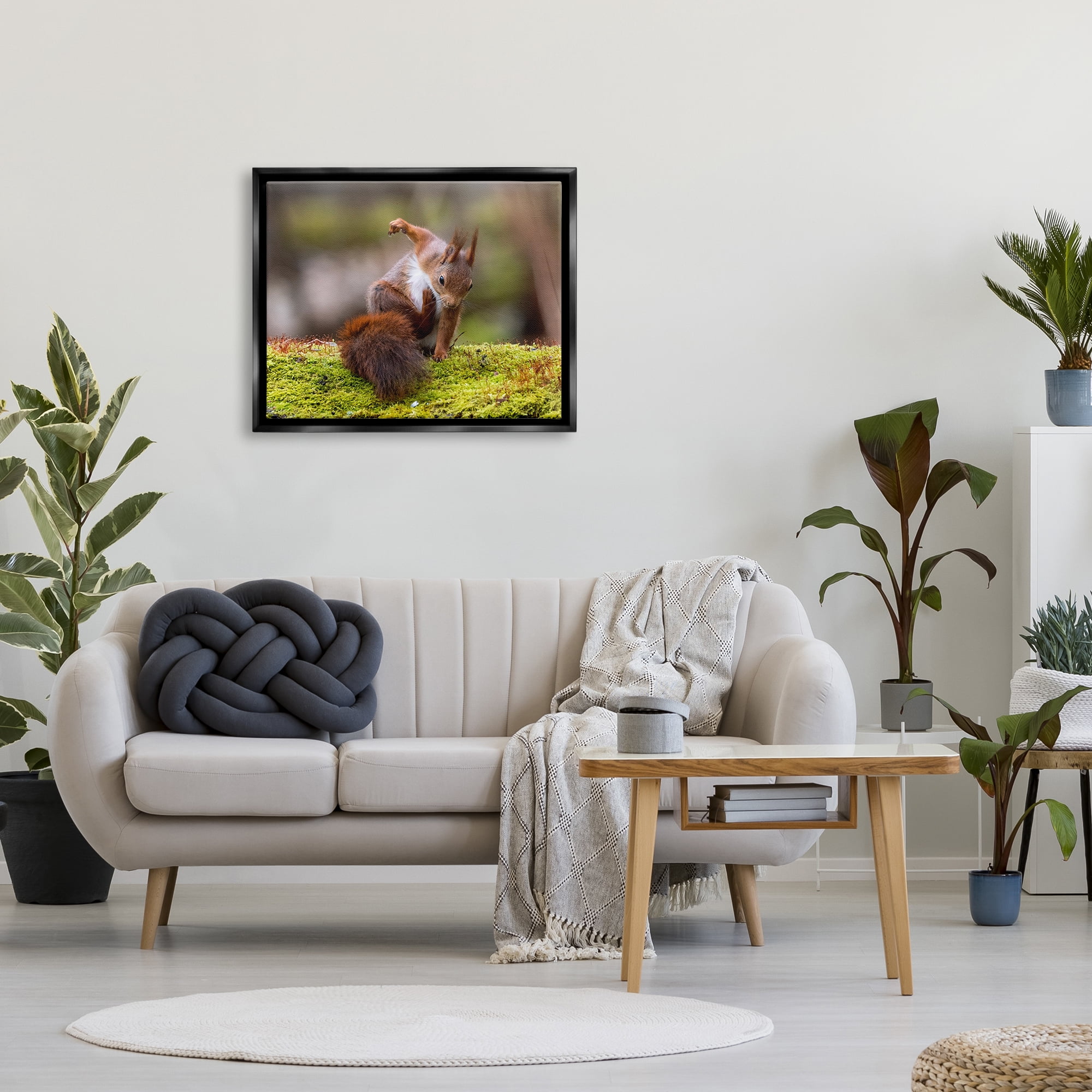 Stupell Industries Squirrel on Mossy Log Animals & Insects Photography Black Floater Framed Canvas Art Print Wall Art, 31 x 25