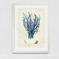 thumbnail image 2 of Wexford Home Antique Coral in Navy V-Framed Print - White - 22X30, 2 of 4